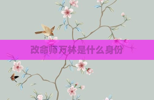 改命师万林是什么身份