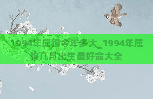 1994年属狗今年多大_1994年属狗几月出生最好命大全