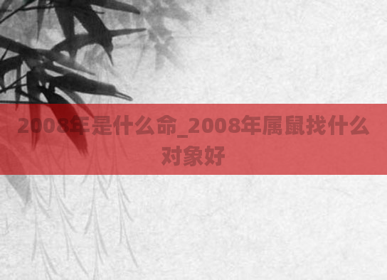 2008年是什么命_2008年属鼠找什么对象好