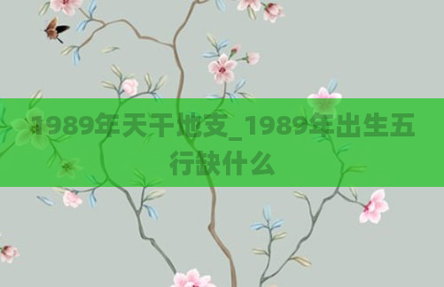 1989年天干地支_1989年出生五行缺什么