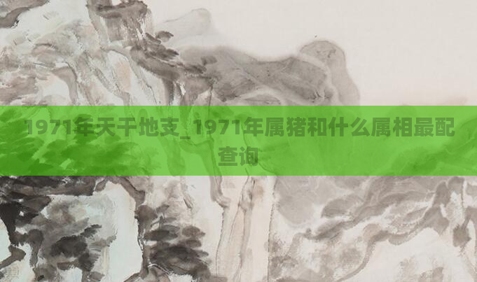 1971年天干地支_1971年属猪和什么属相最配查询
