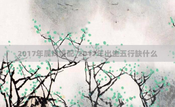 2017年属鸡婚配_2017年出生五行缺什么