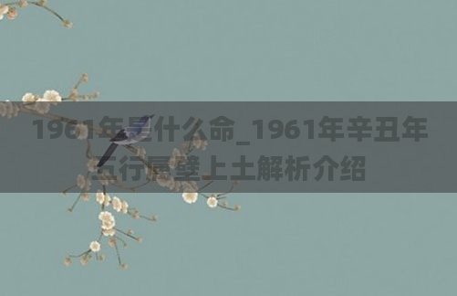 1961年是什么命_1961年辛丑年五行属壁上土解析介绍