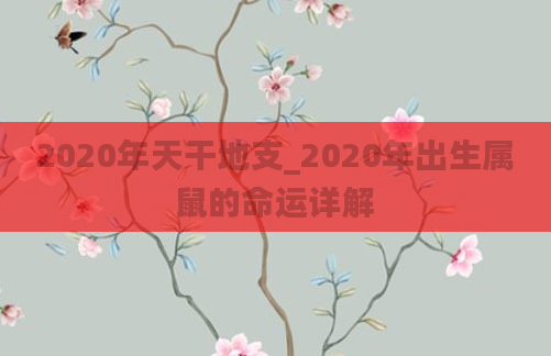 2020年天干地支_2020年出生属鼠的命运详解