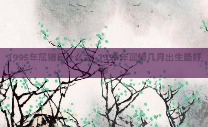 1995年属猪是什么命_1995年属猪几月出生最好命