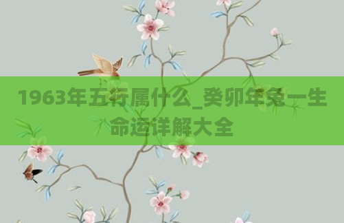 1963年五行属什么_癸卯年兔一生命运详解大全
