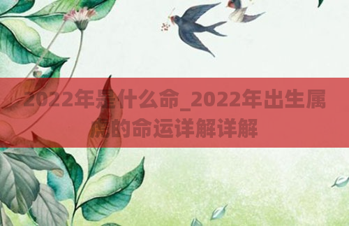 2022年是什么命_2022年出生属虎的命运详解详解