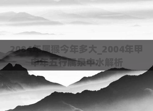 2004年属猴今年多大_2004年甲申年五行属泉中水解析
