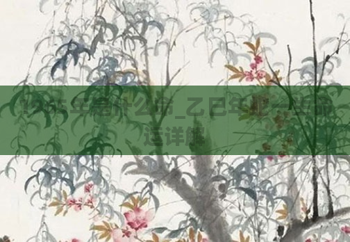 1965年是什么命_乙巳年蛇一生命运详解