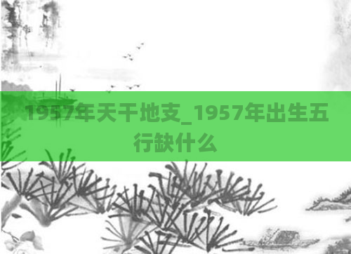 1957年天干地支_1957年出生五行缺什么
