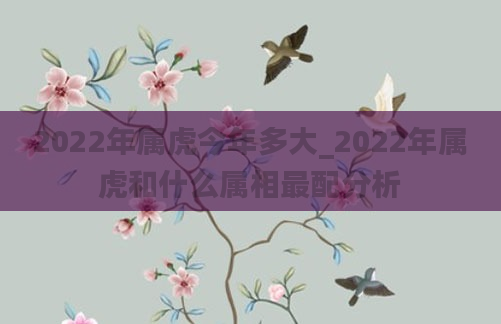 2022年属虎今年多大_2022年属虎和什么属相最配分析