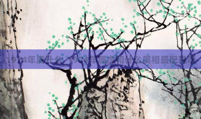 1974年属什么_1974年属虎和什么属相最配说明
