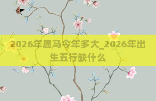 2026年属马今年多大_2026年出生五行缺什么