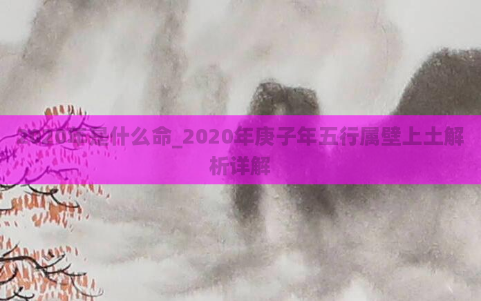 2020年是什么命_2020年庚子年五行属壁上土解析详解