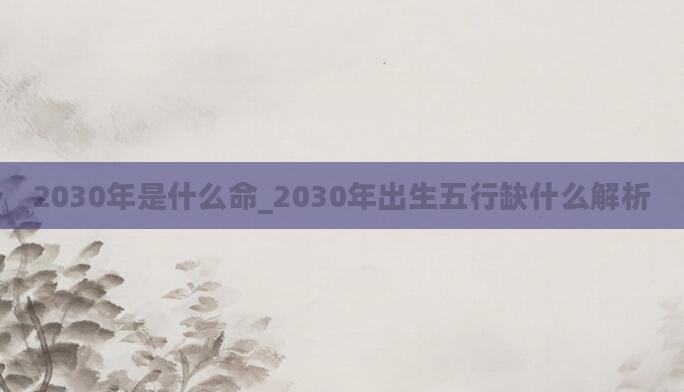 2030年是什么命_2030年出生五行缺什么解析