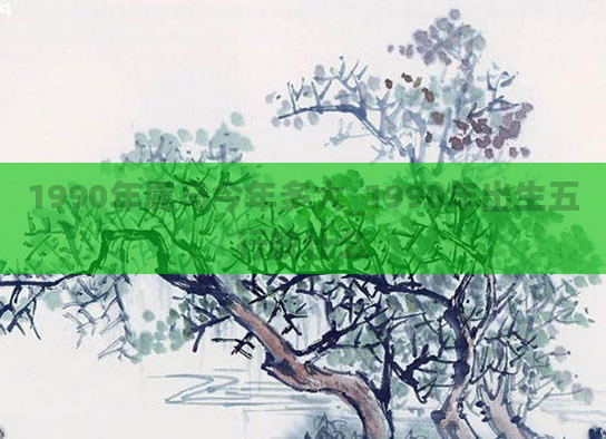 1990年属马今年多大_1990年出生五行缺什么