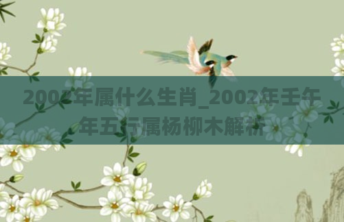2002年属什么生肖_2002年壬午年五行属杨柳木解析
