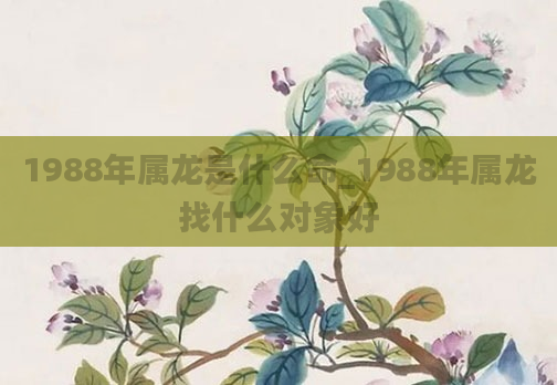1988年属龙是什么命_1988年属龙找什么对象好