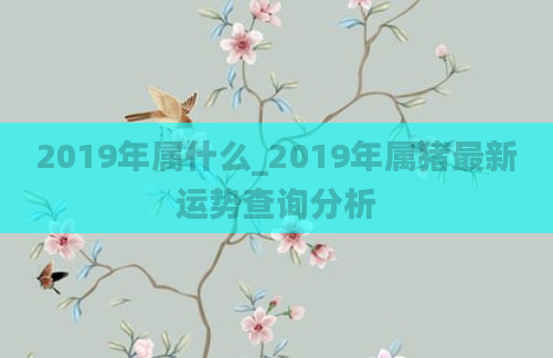 2019年属什么_2019年属猪最新运势查询分析