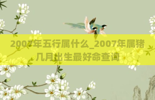 2007年五行属什么_2007年属猪几月出生最好命查询