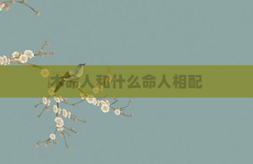 木命人和什么命人相配