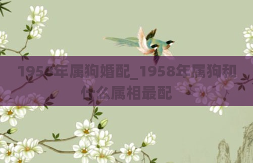 1958年属狗婚配_1958年属狗和什么属相最配