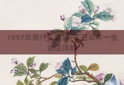 1997年属什么生肖_丁丑年牛一生命运详解