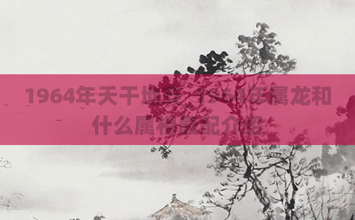 1964年天干地支_1964年属龙和什么属相最配介绍