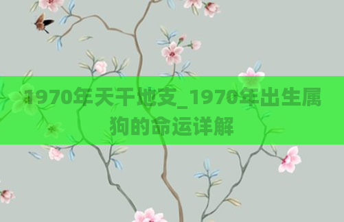 1970年天干地支_1970年出生属狗的命运详解