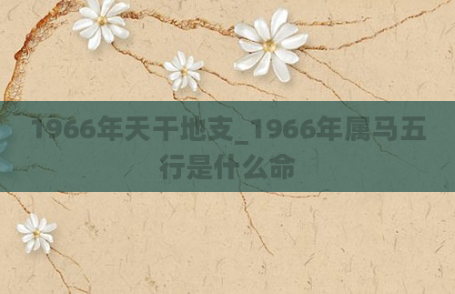 1966年天干地支_1966年属马五行是什么命