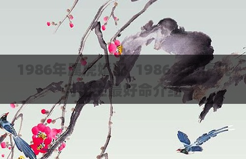 1986年属虎婚配_1986年属虎几月出生最好命介绍