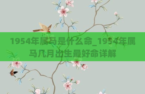 1954年属马是什么命_1954年属马几月出生最好命详解