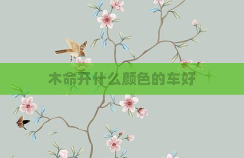 木命开什么颜色的车好
