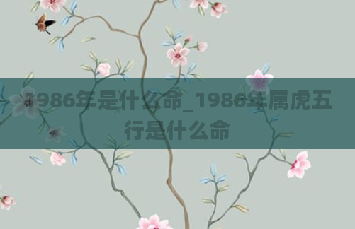 1986年是什么命_1986年属虎五行是什么命