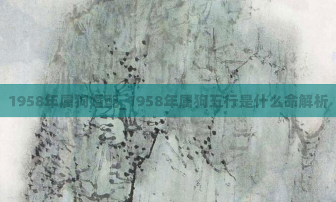1958年属狗婚配_1958年属狗五行是什么命解析