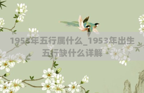 1953年五行属什么_1953年出生五行缺什么详解