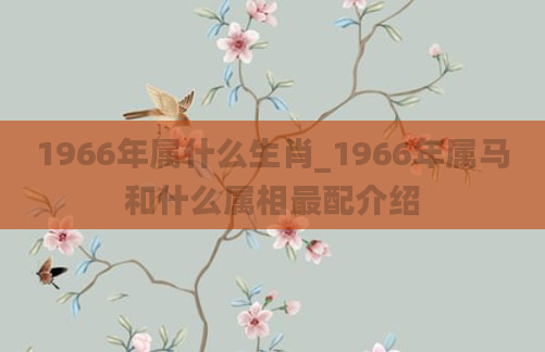 1966年属什么生肖_1966年属马和什么属相最配介绍