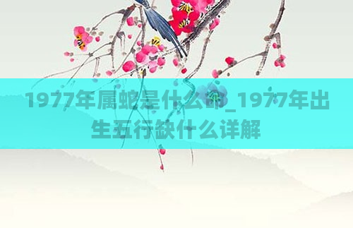 1977年属蛇是什么命_1977年出生五行缺什么详解