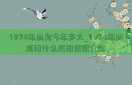 1974年属虎今年多大_1974年属虎和什么属相最配介绍
