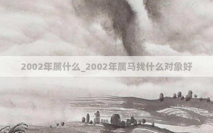 2002年属什么_2002年属马找什么对象好