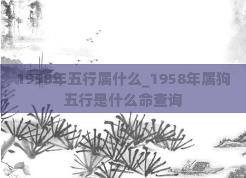 1958年五行属什么_1958年属狗五行是什么命查询