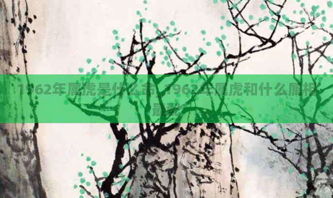1962年属虎是什么命_1962年属虎和什么属相最配