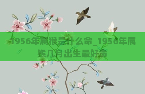 1956年属猴是什么命_1956年属猴几月出生最好命