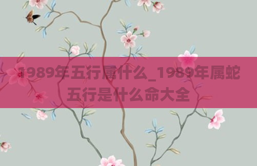 1989年五行属什么_1989年属蛇五行是什么命大全