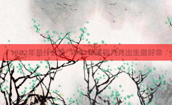 1982年是什么命_1982年属狗几月出生最好命