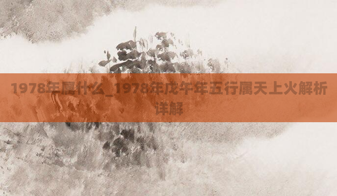 1978年属什么_1978年戊午年五行属天上火解析详解