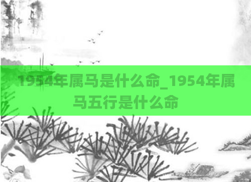 1954年属马是什么命_1954年属马五行是什么命