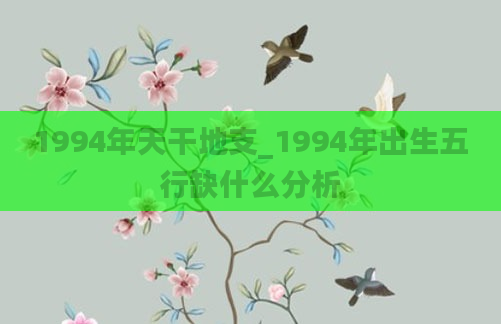1994年天干地支_1994年出生五行缺什么分析