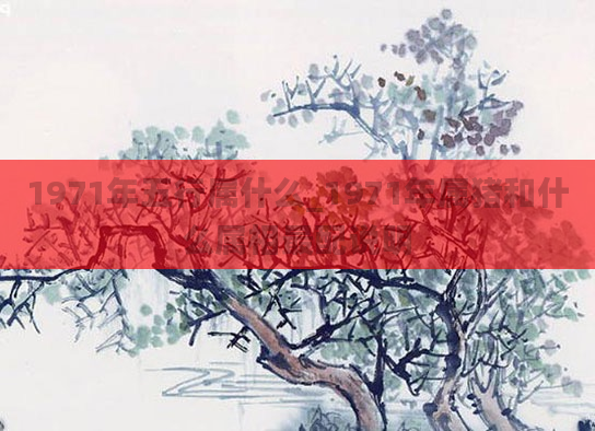 1971年五行属什么_1971年属猪和什么属相最配说明