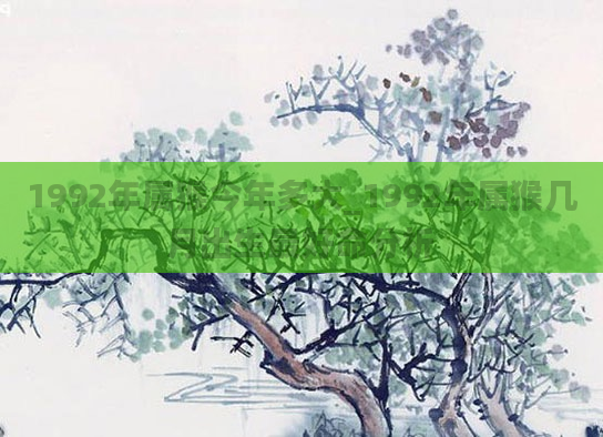 1992年属猴今年多大_1992年属猴几月出生最好命分析